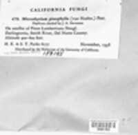 Image Associated With the Occurence